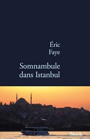 Bild des Verkufers fr Somnambule dans Istanbul - Eric Faye zum Verkauf von Book Hmisphres