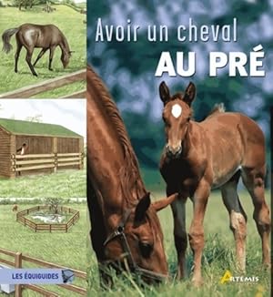 Avoir un cheval au pr? - Toni Webber