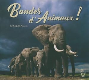 Bandes d'animaux - Gariff Pincemin