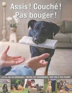 Assis ! couch? ! Pas bouger ! - Gwen Bailey