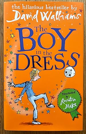 Imagen del vendedor de The Boy in the Dress a la venta por Setanta Books