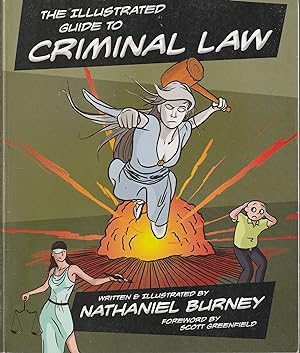 Immagine del venditore per The Illustrated Guide to Criminal Law venduto da Elam's Books