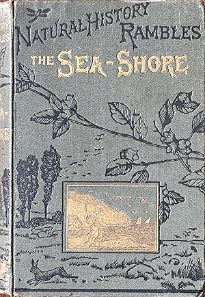 Natural History rambles: the sea-shore