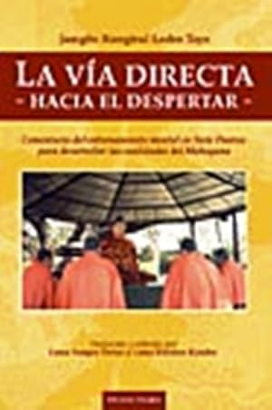 Image du vendeur pour La Via Directa Hacia El Despertar mis en vente par Juanpebooks