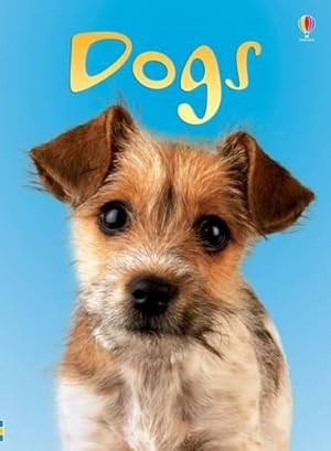 Bild des Verkufers fr Dogs (Beginners) zum Verkauf von WeBuyBooks 2