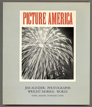 Seller image for Picture America for sale by Between the Covers-Rare Books, Inc. ABAA