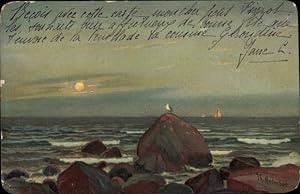 Künstler Ansichtskarte / Postkarte Holmboe, Th., Küste im Mondschein, Felsen, Möwe