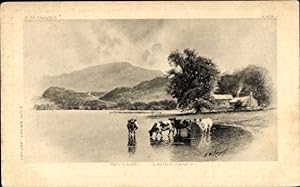 Künstler Ansichtskarte / Postkarte Hayes, Kühe im Wasser, Landwirtschaft