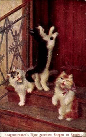 Bild des Verkufers fr Knstler Ansichtskarte / Postkarte Drei Katzen miauen an der Haustr, Reklame W. Hoogenstraaten und Co zum Verkauf von akpool GmbH