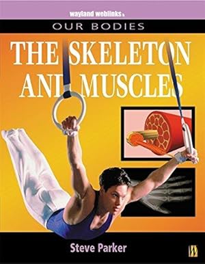 Bild des Verkufers fr Muscles and Skeleton zum Verkauf von WeBuyBooks