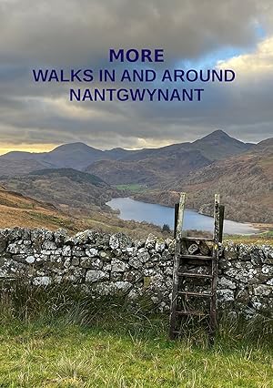 Seller image for More Walks in and Around Nantgwynant for sale by Versiani Holt and Brewer