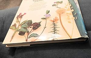 Immagine del venditore per Wild Flowers of Britain venduto da WeBuyBooks 2