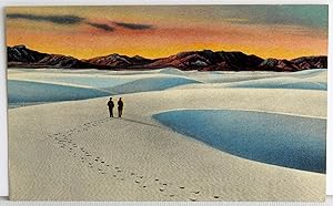 Bild des Verkufers fr The Great White Sands - A National Monument near Alamogordo, N. M. - Postcard zum Verkauf von Argyl Houser, Bookseller