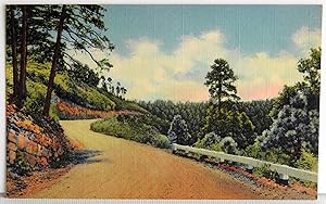 Bild des Verkufers fr Cloudcroft Scenic Highway, New Mexico - Postcard zum Verkauf von Argyl Houser, Bookseller