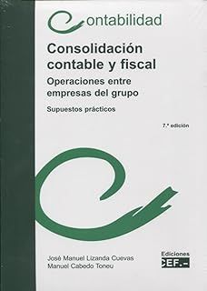 Bild des Verkufers fr CONSOLIDACIN CONTABLE Y FISCAL. OPERACIONES ENTRE EMPRESAS DEL GRUPO. SUPUESTOS zum Verkauf von Librera Circus