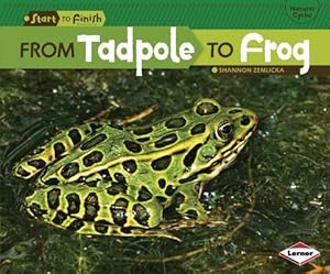 Seller image for From Tadpole to Frog (Paperback or Softback) for sale by BargainBookStores