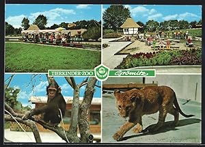 Bild des Verkufers fr Ansichtskarte Grmitz, Tierkinder-Zoo Arche Noah in vier Ansichten zum Verkauf von Bartko-Reher