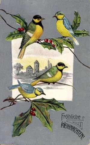 Ansichtskarte / Postkarte Glückwunsch Weihnachten, Vögel auf Stechpalmenzweigen