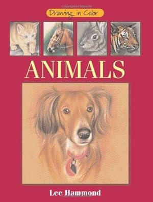 Immagine del venditore per Drawing in Color - Animals venduto da WeBuyBooks