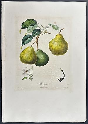 Pear