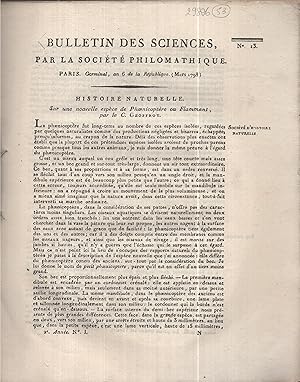 Imagen del vendedor de Bulletin des sciences, par la Socit philomathique de Paris. n13  24 (Deuxime anne complte) Germinal An 6 Six planches a la venta por LIBRAIRIE PIMLICO