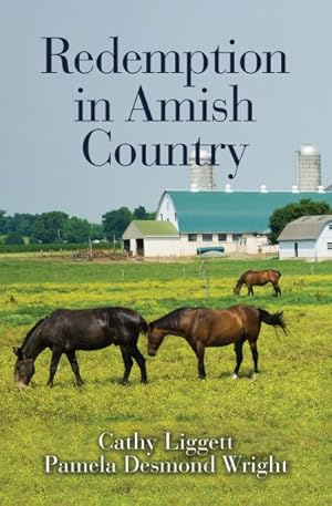 Seller image for Redemption in Amish Country for sale by GreatBookPrices