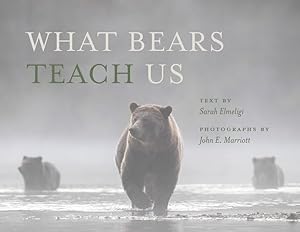 Seller image for What Bears Teach Us for sale by GreatBookPrices