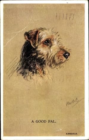 Künstler Ansichtskarte / Postkarte Hundeportrait, Airedale Terrier