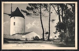 Ansichtskarte La Guèrnière, Les Moulins à travers les Pins