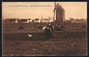 Ansichtskarte La Brière, Moulin de la Rodrie-Pendille