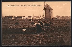 Ansichtskarte La Brière, Moulin de la Rodrie-Pendille, Windmühle