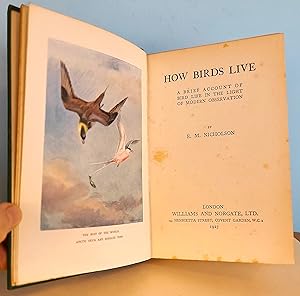 Seller image for How Birds Live: A Brief Account of Bird Life in the Light of Modern Observation for sale by Berthoff Books