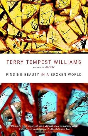 Seller image for Finding Beauty in a Broken World for sale by WeBuyBooks