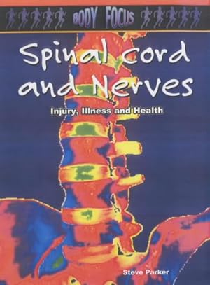 Seller image for Spinal Cord and Nerves (Body Focus) for sale by WeBuyBooks
