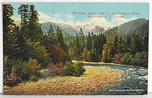 Seller image for The Lions, Height 6500 ft. and Capilano River, Vancouver, B. C. Canada - Postcard for sale by Argyl Houser, Bookseller