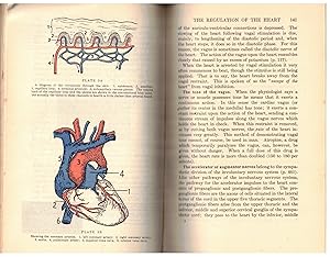 Seller image for The Living Body: A Test in Human Physiology for sale by Pippa's Place