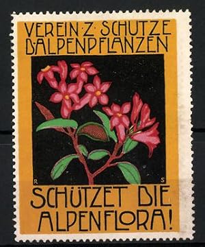 Bild des Verkufers fr Reklamemarke Verein zum Schutze der Alpenpflanzen, Schtzet die Alpenflora, Blumen zum Verkauf von Bartko-Reher