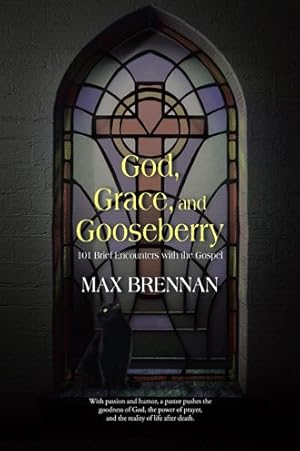 Immagine del venditore per God, Grace, and Gooseberry : 101 Brief Encounters With the Gospel venduto da GreatBookPrices