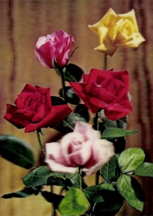 3-D Ansichtskarte / Postkarte Blumenstrauß, Blühende Rosen