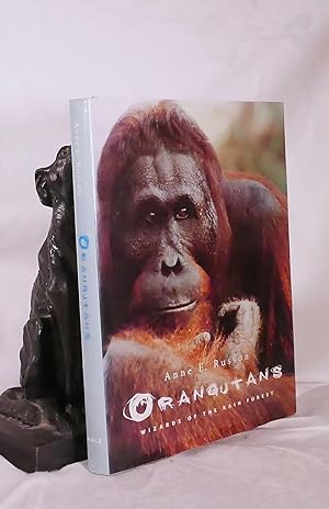 Seller image for ORANGUTANS. Wizards of The Rain Forest for sale by A&F.McIlreavy.Buderim Rare Books