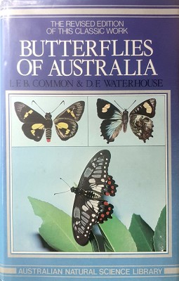 Butterflies Of Australia