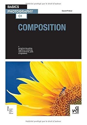 Image du vendeur pour Basics Photography: Composition mis en vente par WeBuyBooks