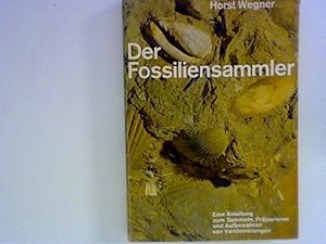 Bild des Verkufers fr Der Fossiliensammler zum Verkauf von ANTIQUARIAT FRDEBUCH Inh.Michael Simon