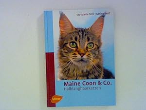 Image du vendeur pour Maine Coon & Co.: Halblanghaarkatzen mis en vente par ANTIQUARIAT FRDEBUCH Inh.Michael Simon