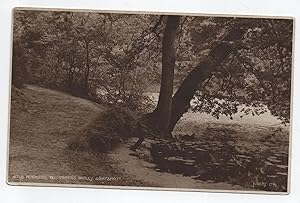 Seller image for Hindhead Waggoners Wells Grayshott Postcard for sale by Postcard Anoraks