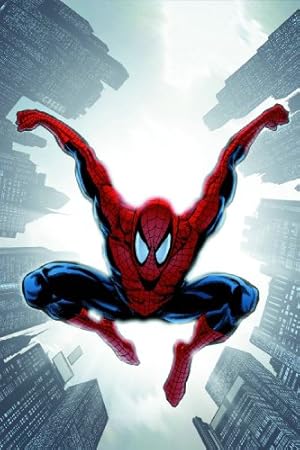 Bild des Verkufers fr Spider-Man: Brand New Day Volume 2 TPB zum Verkauf von WeBuyBooks