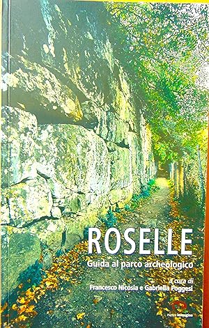 Roselle. Guida al parco archeologico
