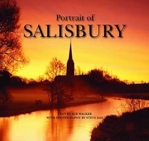 Seller image for Portrait of Salisbury for sale by WeBuyBooks