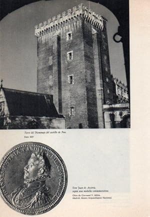 Seller image for LAMINA V38853: Torre del Homenaje del castillo de Pau y moneda de Juan de Austria for sale by EL BOLETIN