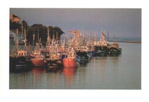 Image du vendeur pour POSTAL PV09556: Barcas de pesca en San Vicente de la Barquera mis en vente par EL BOLETIN